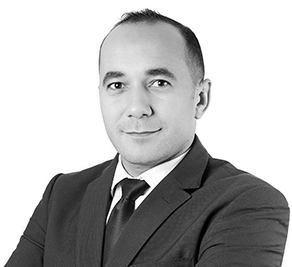 Hassane H. El Sheref
