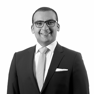 Majdi Salaita