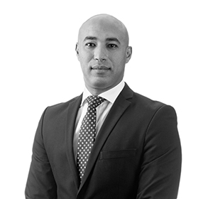 Mohamed Abdelhamed