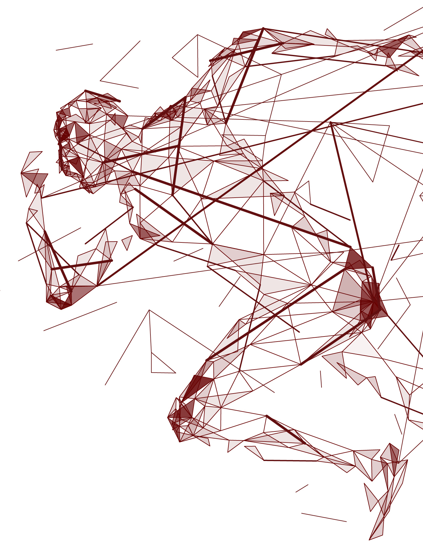 Sports & Events Management in Focus Al Tamimi & Company