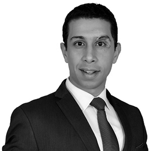 Mohamed Elbasha