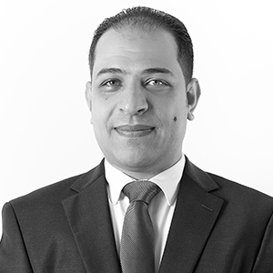 Wael Elgouhari